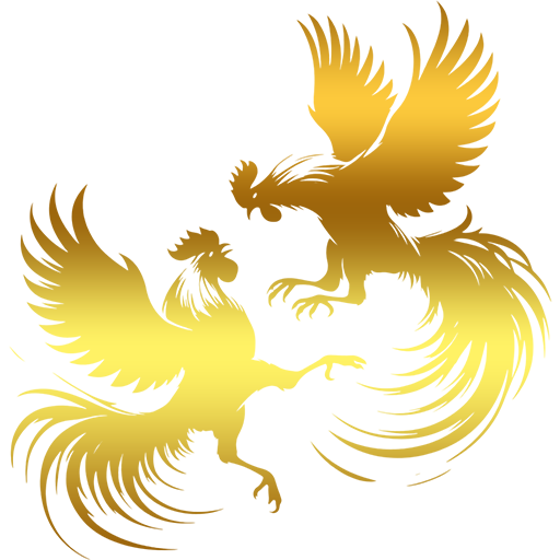 Cock Fight