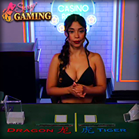 DragonTiger